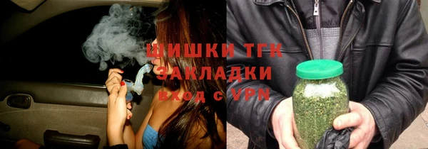 прущие крисы Бородино