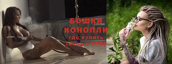 прущие крисы Бородино