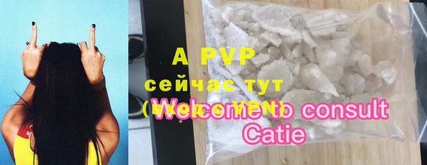 прущие крисы Бородино