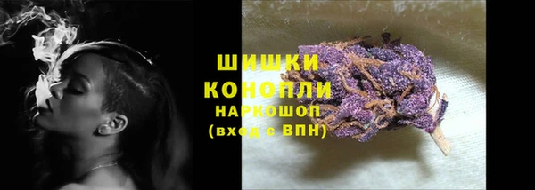 прущие крисы Бородино