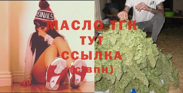 прущие крисы Бородино