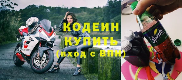 прущие крисы Бородино