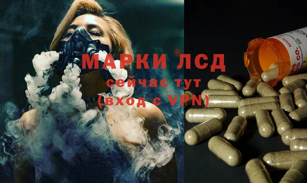 прущие крисы Бородино
