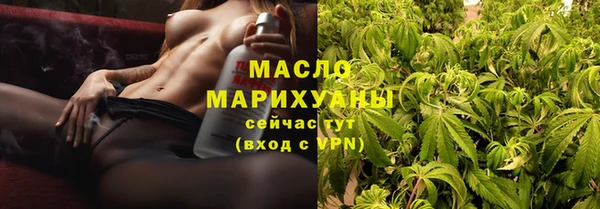 прущие крисы Бородино