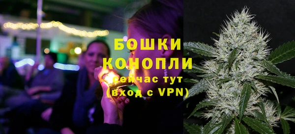 прущие крисы Бородино