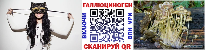 Галлюциногенные грибы Cubensis  цена   Ильский 